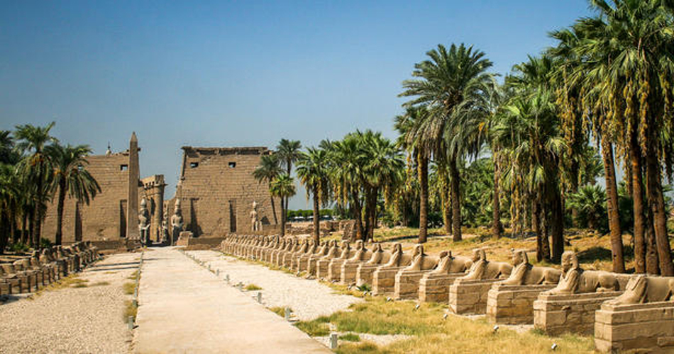 egypt-avenue-sphinx_8c378__md.jpg